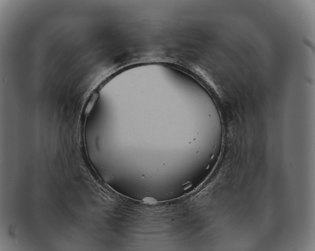 X0000091661173200709131504