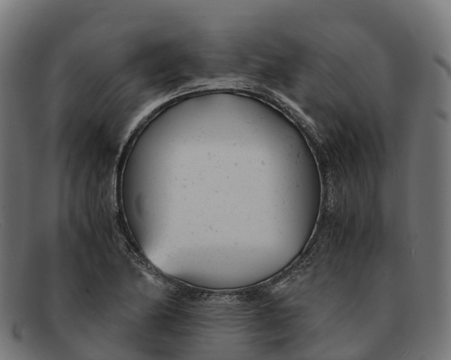 X0000091661174200709131504