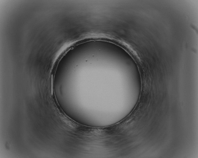 X0000091661175200709131504