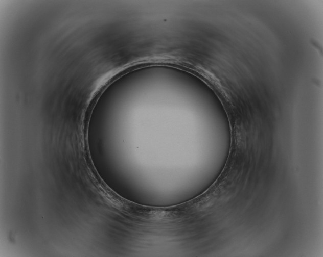 X0000091661176200709131504