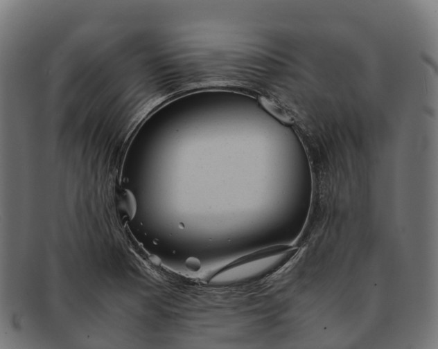 X0000091661177200709131504