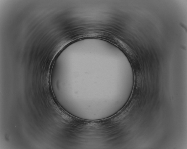 X0000091661178200709131504