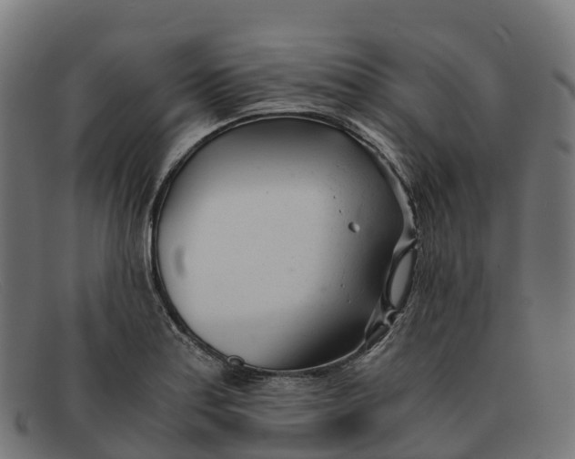 X0000091661179200709131504