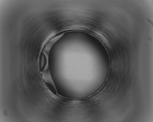 X0000091661180200709131504