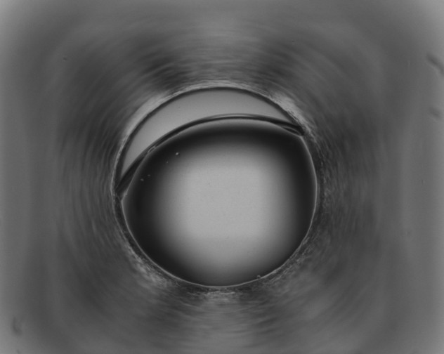 X0000091661181200709131504