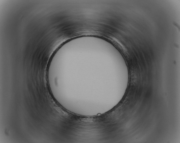 X0000091661182200709131504