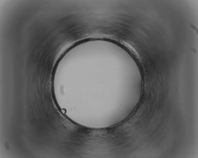 X0000091661183200709131504