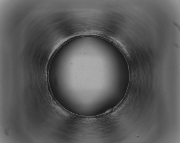 X0000091661184200709131504