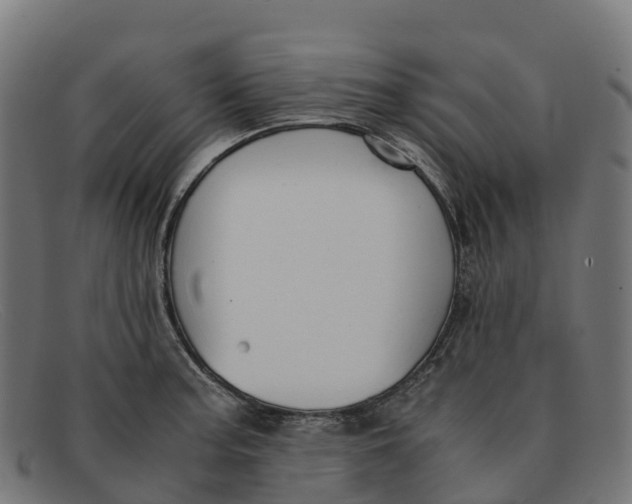 X0000091661187200709131504