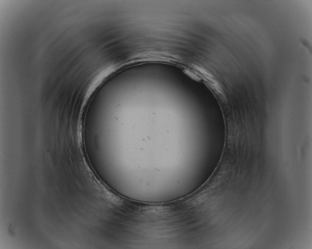 X0000091661188200709131504