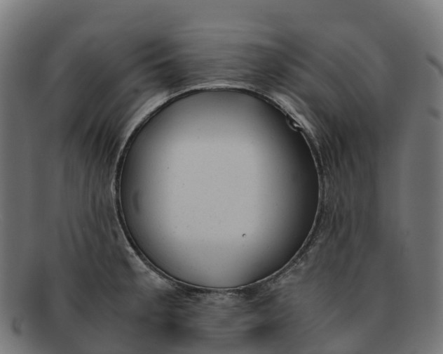 X0000091661189200709131504