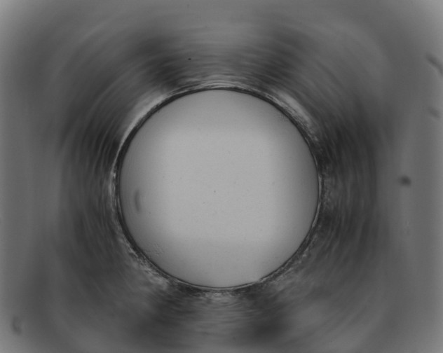 X0000091661190200709131504