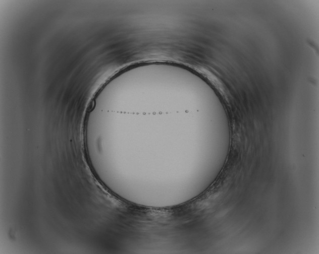 X0000091661191200709131504