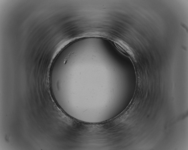 X0000091661192200709131504