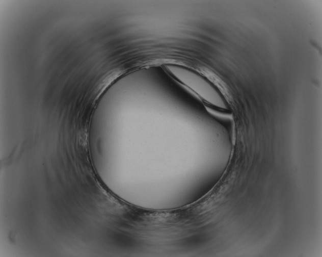 X0000091661193200709131504