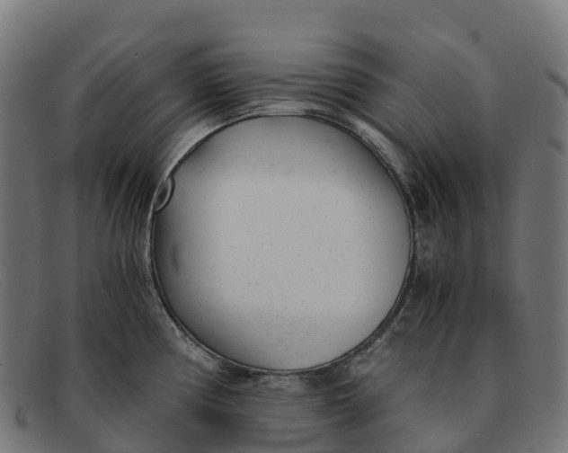 X0000091661194200709131504