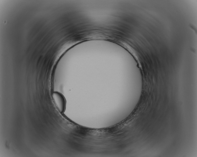 X0000091661195200709131504