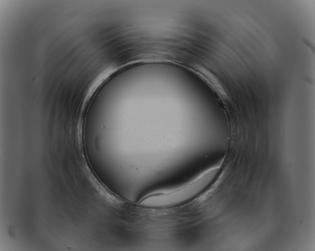 X0000091661196200709131504