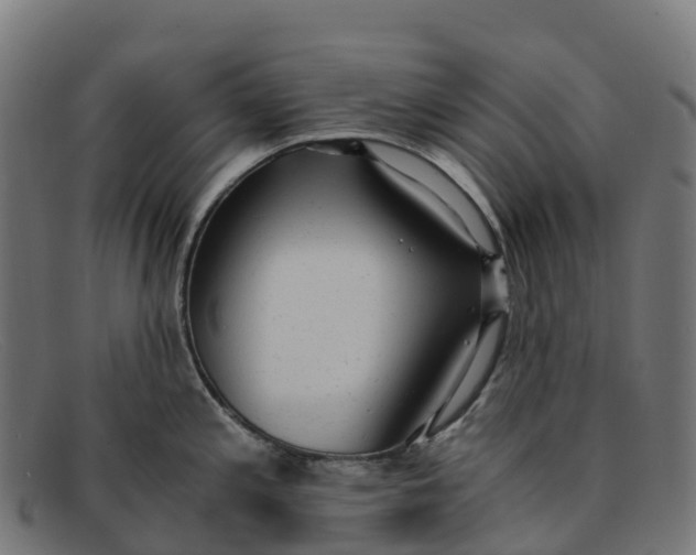 X0000091661197200709131504