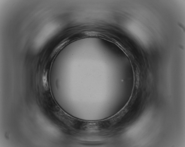 X0000091661198200709131504