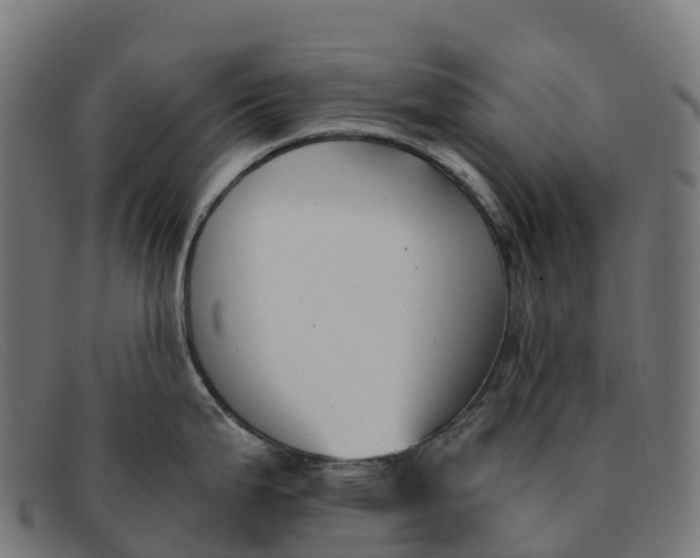 X0000091661199200709131504