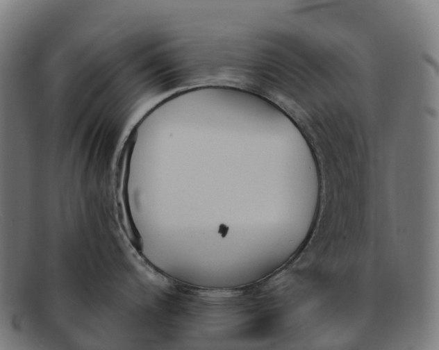 X0000091661200200709131504