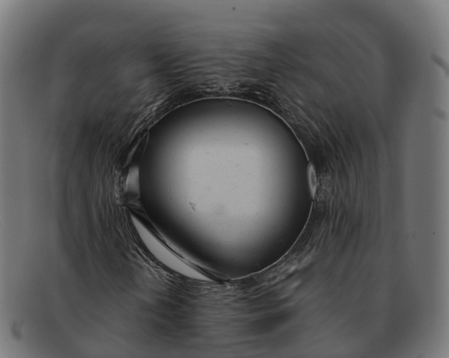 X0000091661202200709131503