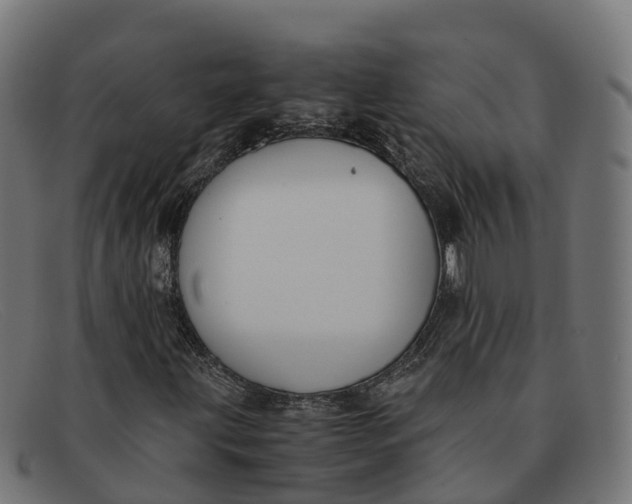 X0000091661203200709131503