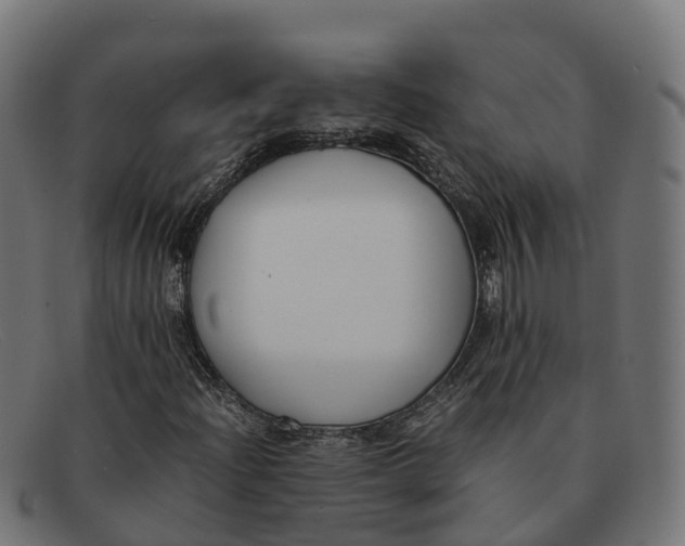 X0000091661204200709131503