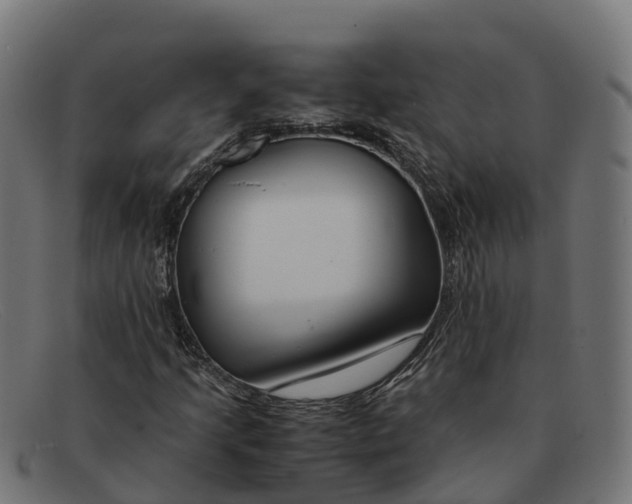 X0000091661205200709131503