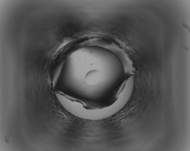 X0000091661206200709131503