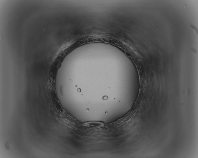 X0000091661207200709131503