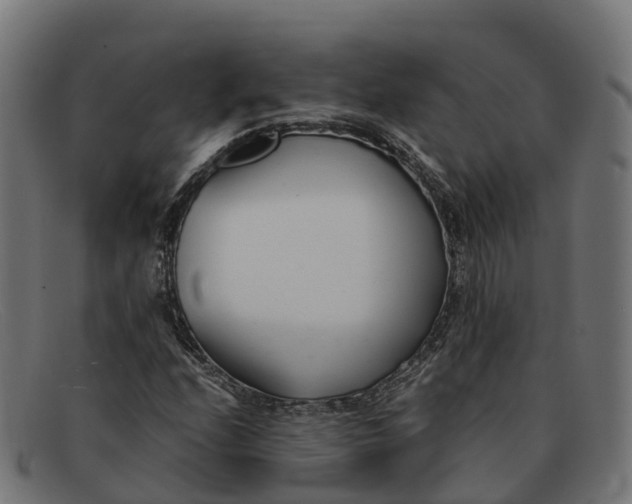 X0000091661208200709131503