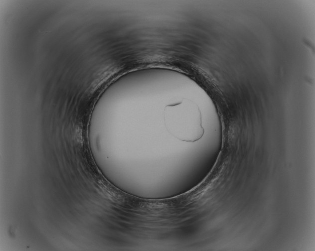 X0000091661209200709131503