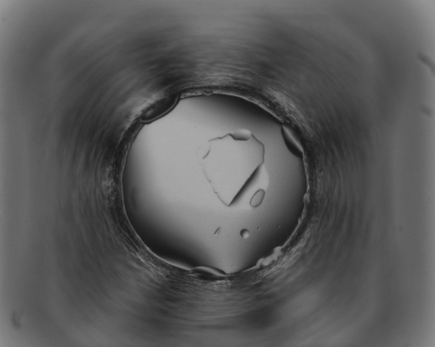 X0000091661210200709131503