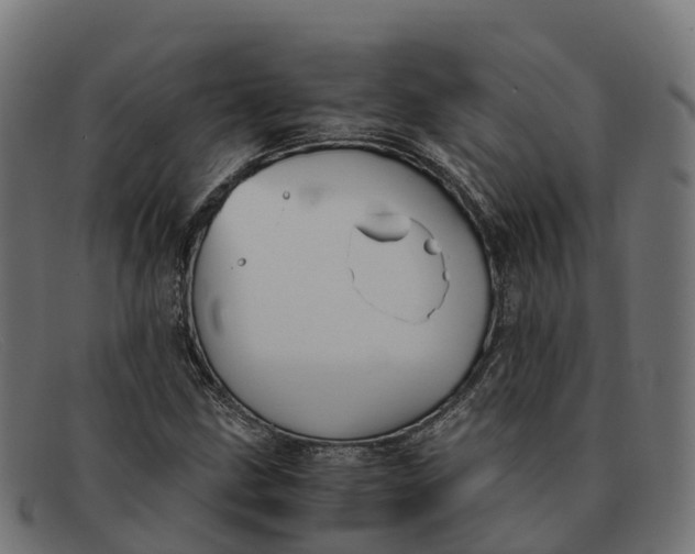 X0000091661211200709131503