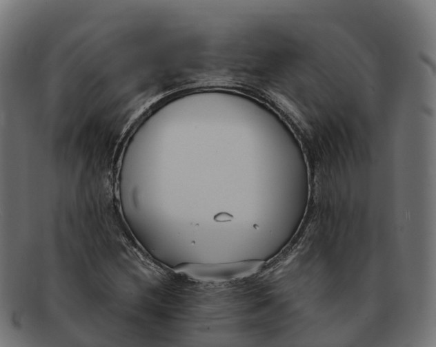 X0000091661212200709131503