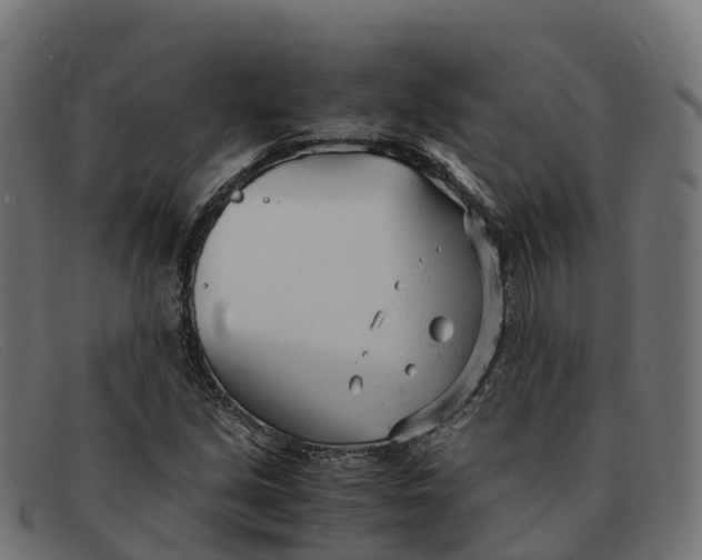 X0000091661213200709131503