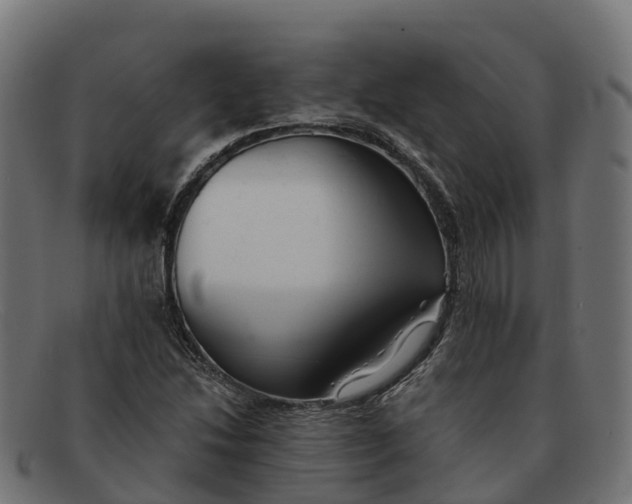 X0000091661214200709131503