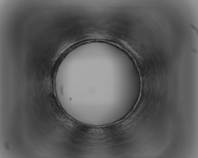 X0000091661215200709131504