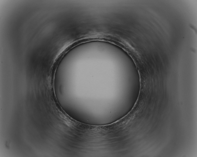 X0000091661216200709131504