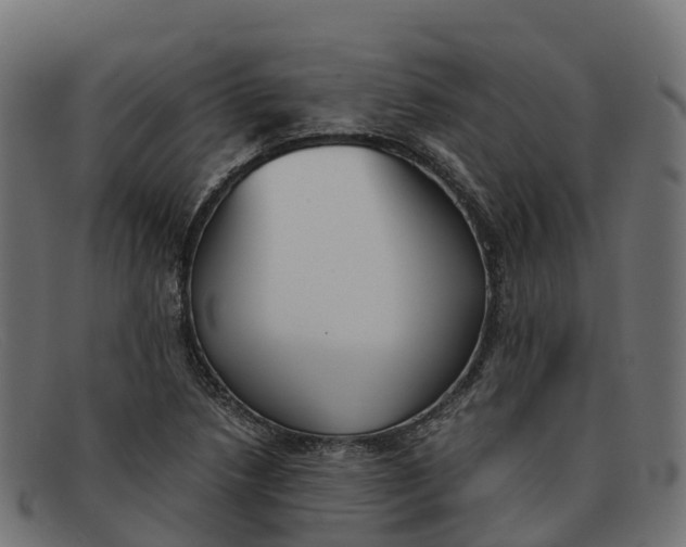 X0000091661218200709131504