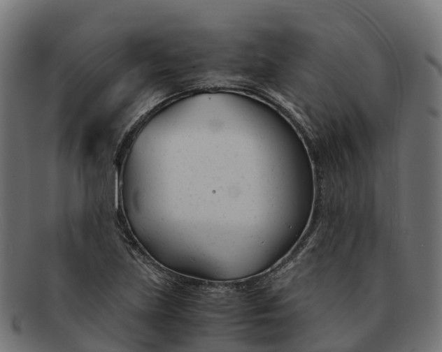 X0000091661219200709131504