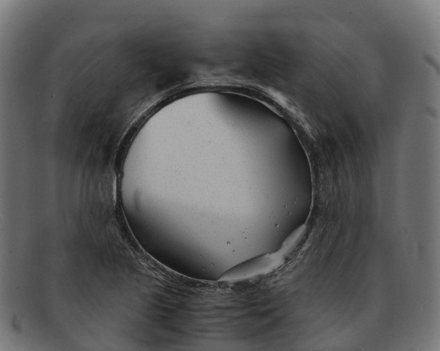 X0000091661221200709131504