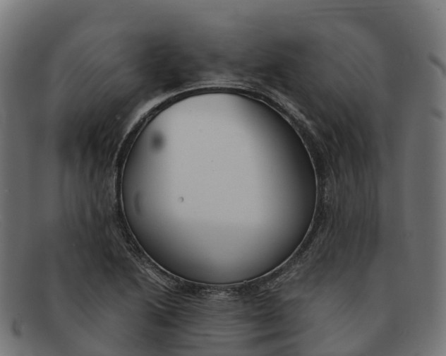 X0000091661222200709131504