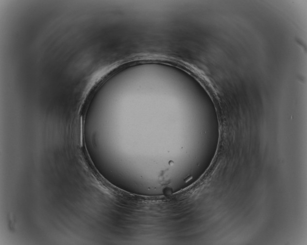 X0000091661223200709131504