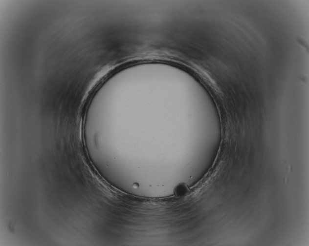 X0000091661224200709131504