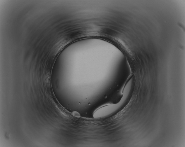 X0000091661225200709131504