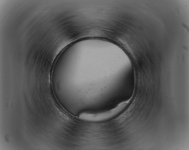 X0000091661226200709131504