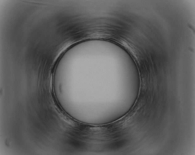 X0000091661227200709131504